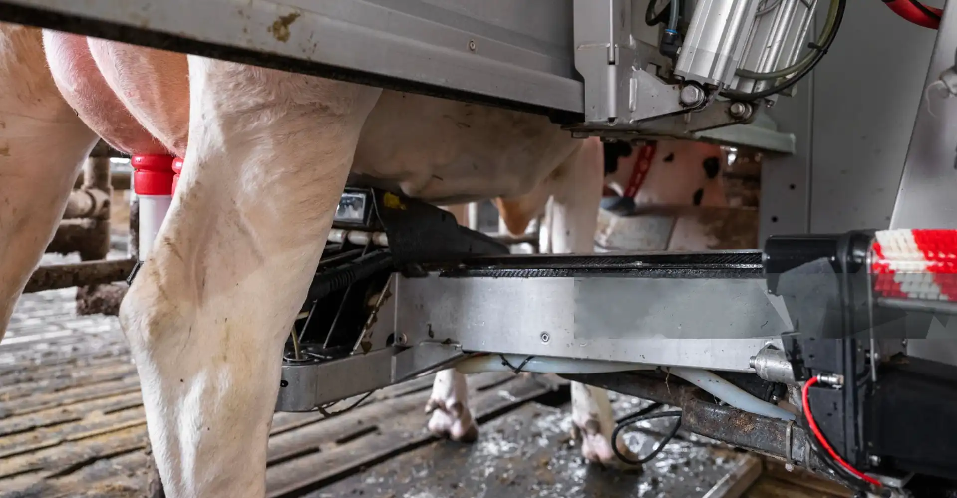 Robotic milking technology